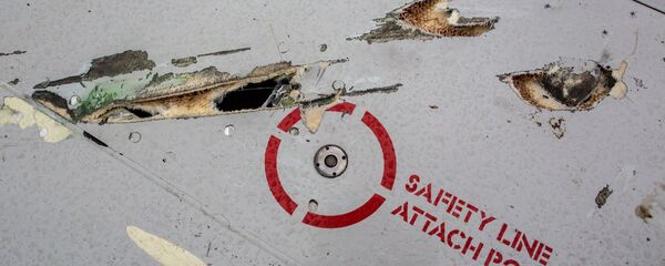 thảm họa MH17 - Sputnik Việt Nam