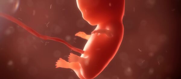 phôi thai - Sputnik Việt Nam