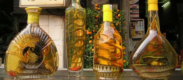 Bình ngâm rắn và bọ cạp trên quầy hàng ở Việt Nam - Sputnik Việt Nam