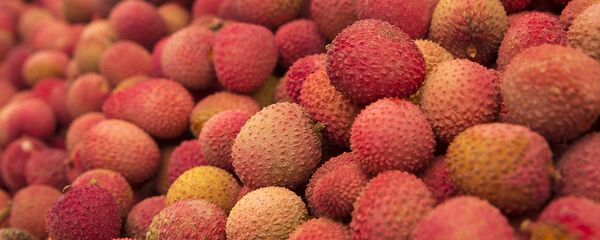 quả vải  - Sputnik Việt Nam