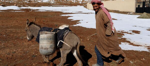 Những hình ảnh sống động nhất trong tuần từ 28 tháng 1 đến 3 tháng 2. Những hình ảnh sống động nhất trong tuần từ 28 tháng 1 đến 3 tháng 2. - Sputnik Việt Nam