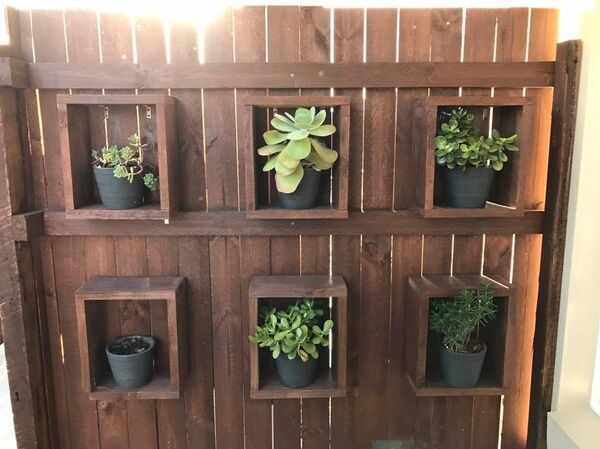 Mạng xã hội háo hức tìm kiếm con trăn khổng lồ trong bức ảnh Mạng xã hội háo hức tìm kiếm con trăn khổng lồ trong bức ảnh - Sputnik Việt Nam