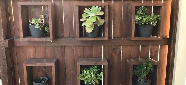 Mạng xã hội háo hức tìm kiếm con trăn khổng lồ trong bức ảnh - Sputnik Việt Nam