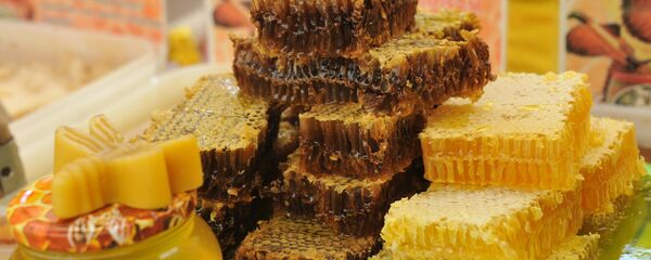 Hội chợ Mật ong trong Khu bảo tồn-điền trang Kolomenskoe - Sputnik Việt Nam