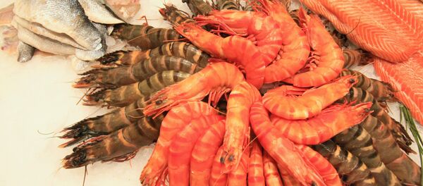 Tôm - Sputnik Việt Nam