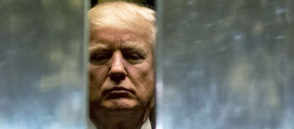 Tổng thống Mỹ Donald Trump - Sputnik Việt Nam