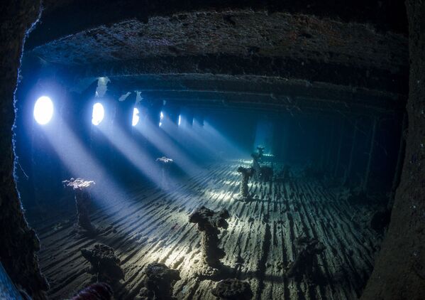 Những người chiến thắng cuộc thi ảnh Underwater Photographer of the Year 2017 - Sputnik Việt Nam