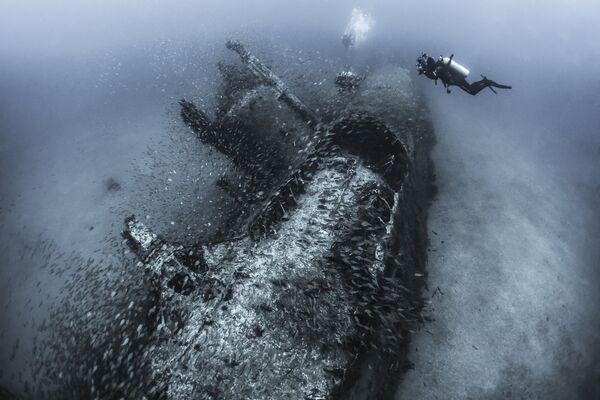 Những người chiến thắng cuộc thi ảnh Underwater Photographer of the Year 2017 - Sputnik Việt Nam