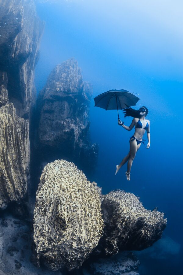 Những người chiến thắng cuộc thi ảnh Underwater Photographer of the Year 2017 - Sputnik Việt Nam