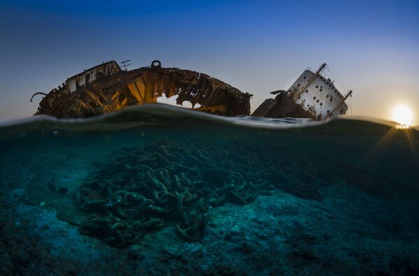 Những người chiến thắng cuộc thi ảnh Underwater Photographer of the Year 2017 - Sputnik Việt Nam