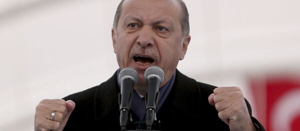 Recep Tayyip Erdogan - Sputnik Việt Nam