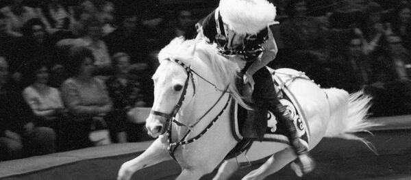 biểu diễn của nhóm thanh niên Kazak trong rạp xiếc - Sputnik Việt Nam