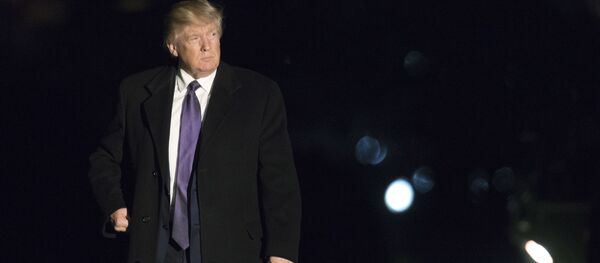 Президент США Дональд Трамп - Sputnik Việt Nam