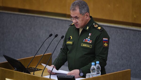 Bộ trưởng Quốc phòng Nga Sergei Shoigu - Sputnik Việt Nam