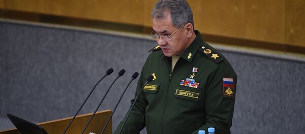 Bộ trưởng Quốc phòng Nga Sergei Shoigu - Sputnik Việt Nam