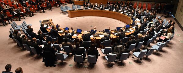 Hội đồng Bảo an Liên Hợp Quốc Hội đồng Bảo an Liên Hợp Quốc - Sputnik Việt Nam