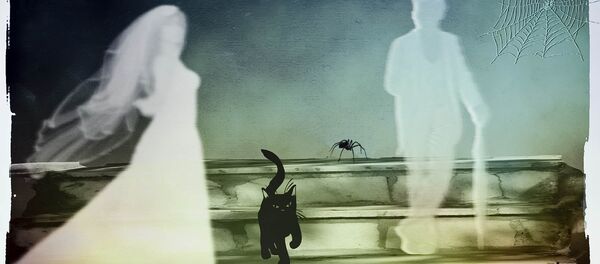 Ghost bride Ghost bride - Sputnik Việt Nam