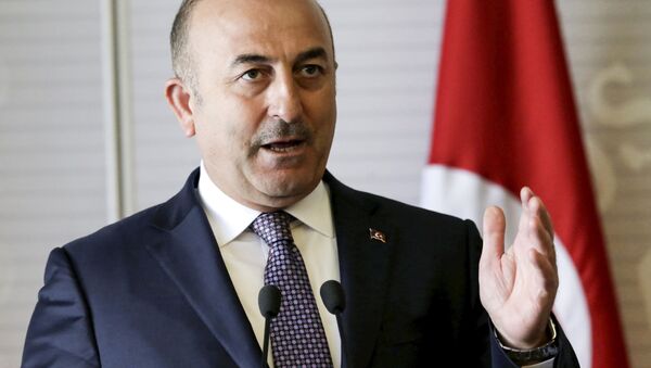 Mevlut Cavusoglu  - Sputnik Việt Nam