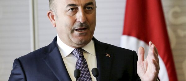 Mevlut Cavusoglu Mevlut Cavusoglu - Sputnik Việt Nam