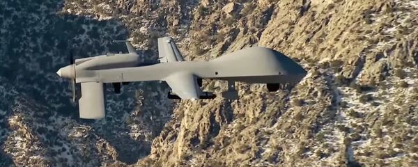 Grey Eagle - Sputnik Việt Nam