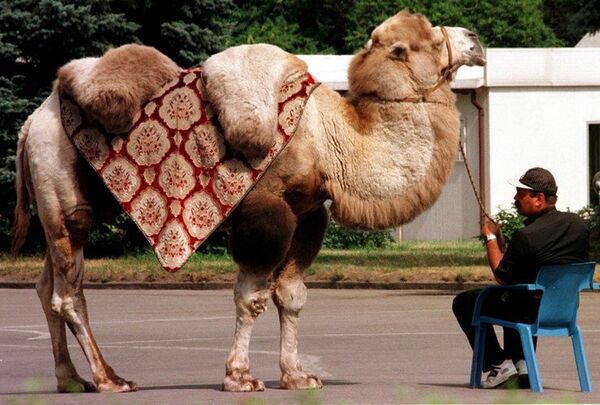 Những hình ảnh Nga sau khi Liên Xô sụp đổ - Sputnik Việt Nam