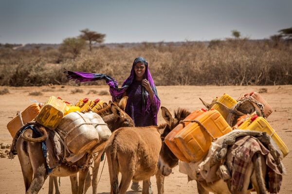 Somalia. Cuộc chạy đua của lừa chở nước. - Sputnik Việt Nam