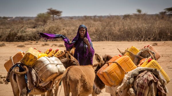 Somalia. Cuộc chạy đua của lừa chở nước. - Sputnik Việt Nam