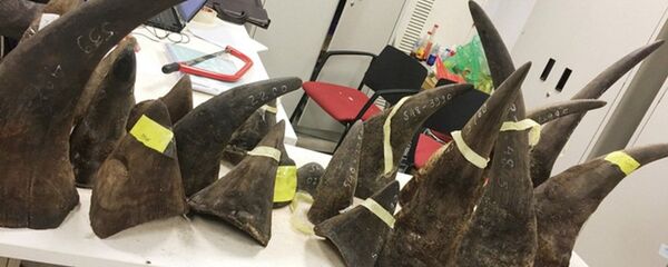 Trọng lượng hàng cấm trên hơn 100kg, hiện vẫn chưa rõ đối tượng nhận tại Việt Nam - Sputnik Việt Nam