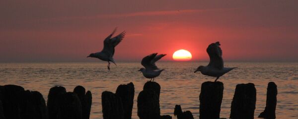 Biển Baltic - Sputnik Việt Nam