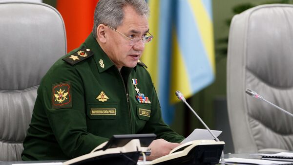 Bộ trưởng Quốc phòng Nga Sergei Shoigu - Sputnik Việt Nam