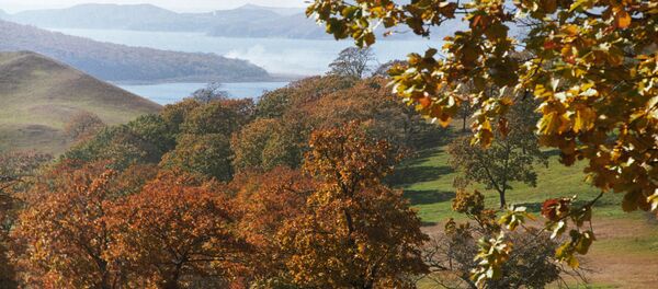 Vùng Primorye - Sputnik Việt Nam