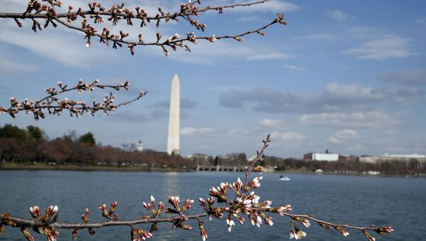 Washington - Sputnik Việt Nam