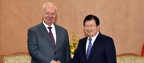 Đại sứ Nga tại Việt Nam gặp Phó Thủ tướng Trịnh Đình Dũng - Sputnik Việt Nam