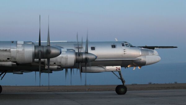 Máy bay ném bom mang tên lửa Tu-95MS của Nga - Sputnik Việt Nam