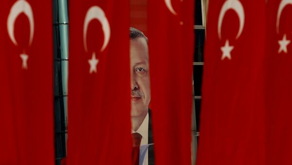 Tổng thống Tayyip Erdogan - Sputnik Việt Nam