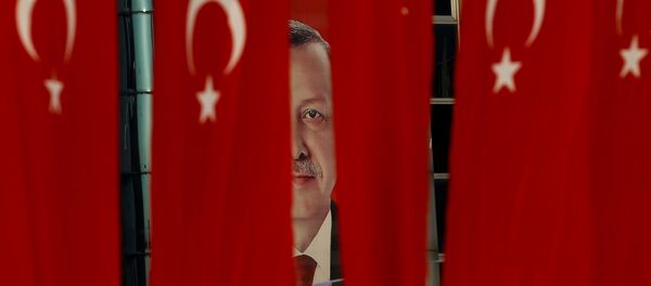 Tổng thống Tayyip Erdogan - Sputnik Việt Nam