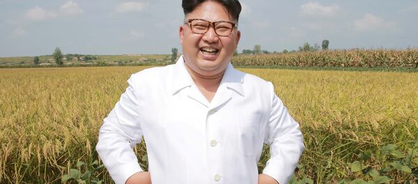 Kim Jong-un - Sputnik Việt Nam