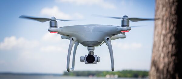 Drone - Sputnik Việt Nam