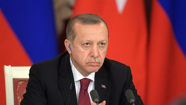 Recep Tayyip Erdogan - Sputnik Việt Nam