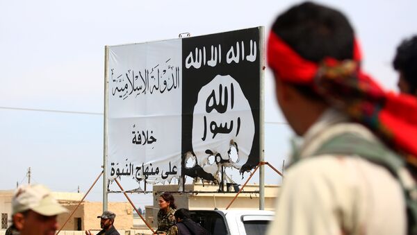 Members of the US-backed Syrian Democratic Forces (SDF), made up of an alliance of Arab and Kurdish fighters, stand under an Islamic State (IS) group banner in the recently recaptured town of Al-Karamah, 26 kms from the IS bastion of Raqa, as they advance to encircle the jihadists, on March 26, 2017 - Sputnik Việt Nam