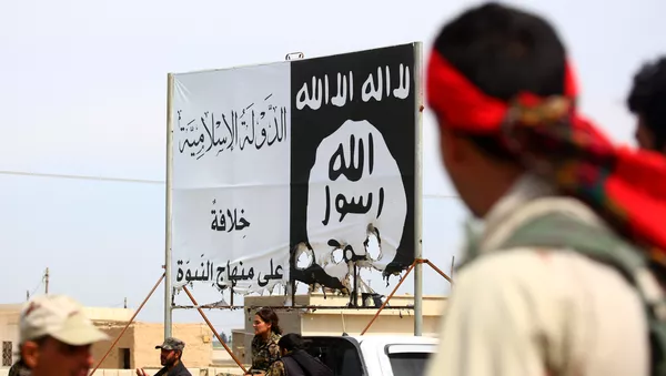 Members of the US-backed Syrian Democratic Forces (SDF), made up of an alliance of Arab and Kurdish fighters, stand under an Islamic State (IS) group banner in the recently recaptured town of Al-Karamah, 26 kms from the IS bastion of Raqa, as they advance to encircle the jihadists, on March 26, 2017 - Sputnik Việt Nam