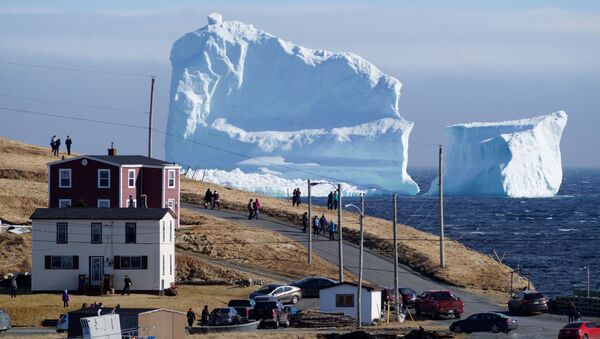 Tảng băng trôi khổng lồ ven bờ biển Canada. - Sputnik Việt Nam