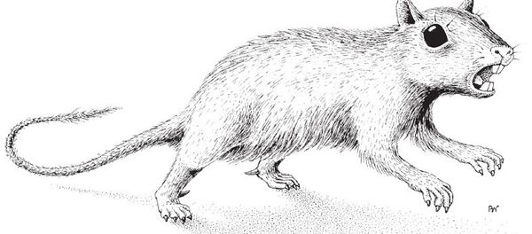 Phát hiện mới của các nhà khoa học Nga - động vật có vú cổ đại - Sputnik Việt Nam