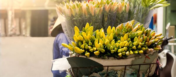 Người bán hoa tại Việt Nam Người bán hoa tại Việt Nam - Sputnik Việt Nam