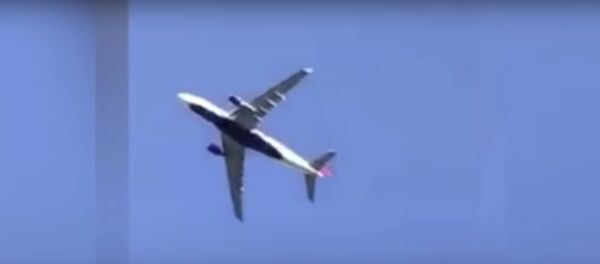 Máy bay chở 227 người hạ cánh khẩn vì động cơ cháy trên không - Sputnik Việt Nam