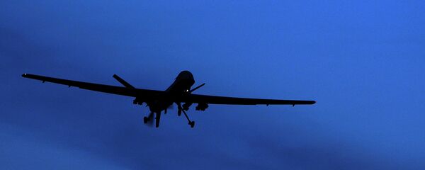 Máy bay không người lái - Sputnik Việt Nam