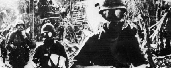 Chiến tranh Việt Nam Chiến tranh Việt Nam - Sputnik Việt Nam