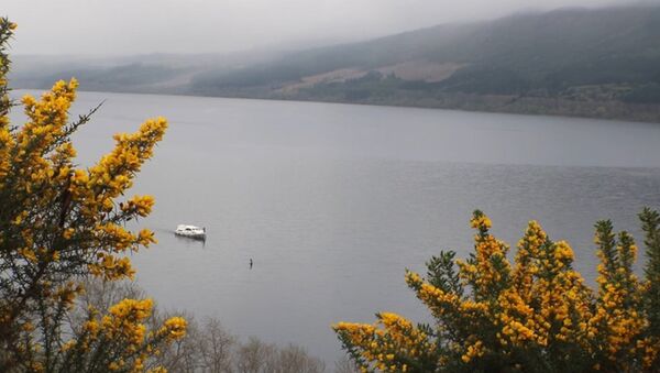 Quái vật lại xuất hiện trên hồ Loch Ness (Video) - Sputnik Việt Nam