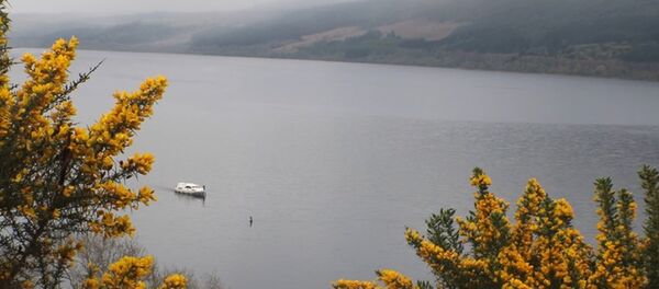 Quái vật lại xuất hiện trên hồ Loch Ness (Video) - Sputnik Việt Nam