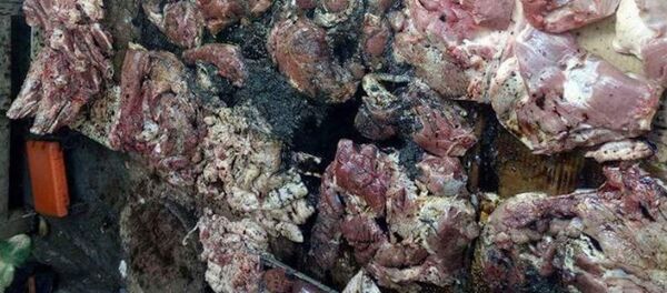 Khởi tố vụ án hất chất bẩn vào quầy bán thịt lợn ở Hải Phòng - Sputnik Việt Nam